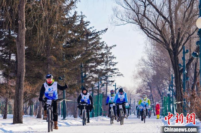 哈尔滨太阳岛雪博园开启2025年第二届上海合作组